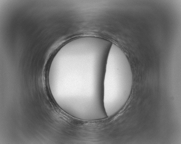 X0000065240294200602171002