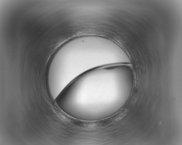 X0000065240301200602171001