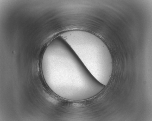 X0000065240302200602171001