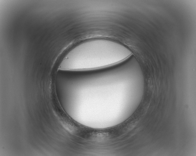 X0000065240304200602171001
