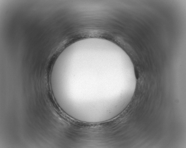 X0000065240306200602171001
