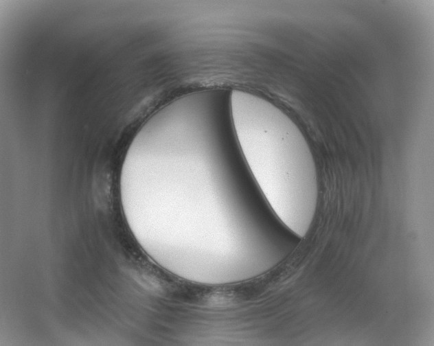 X0000065240308200602171001