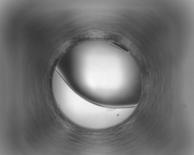 X0000065240309200602171001