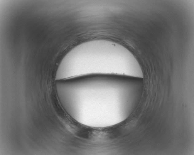 X0000065240311200602171001