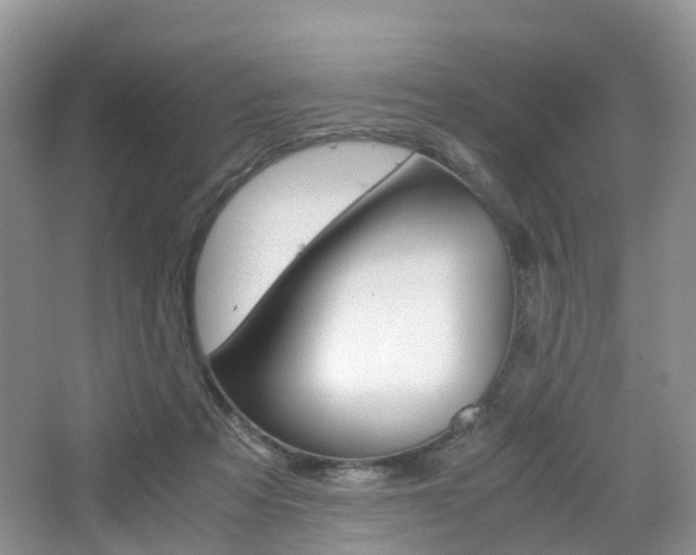 X0000065240313200602171001
