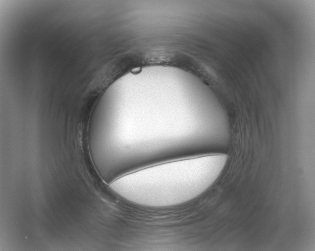 X0000065240315200602171001