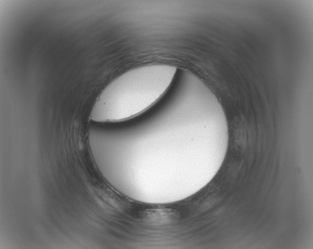 X0000065240316200602171001