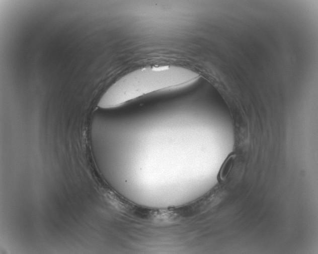 X0000065240321200602171001