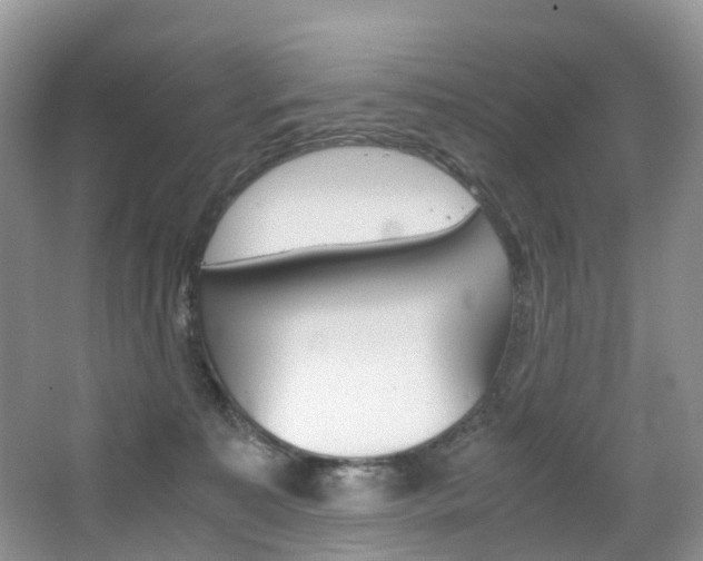 X0000065240323200602171001