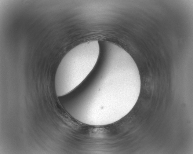 X0000065240324200602171001