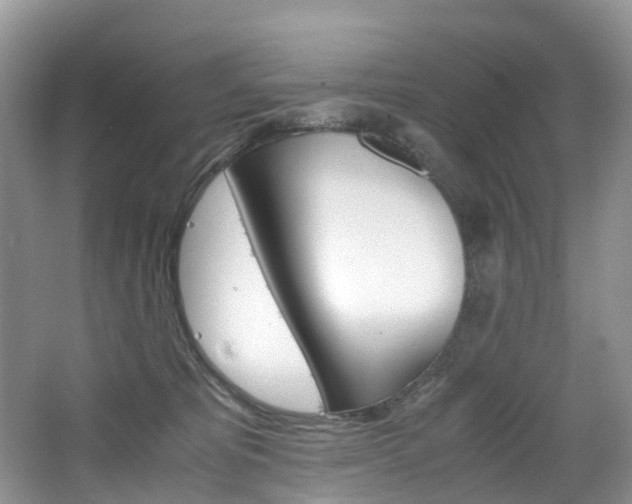 X0000065240325200602171001