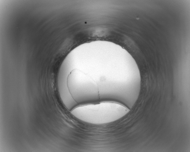 X0000065240328200602171001