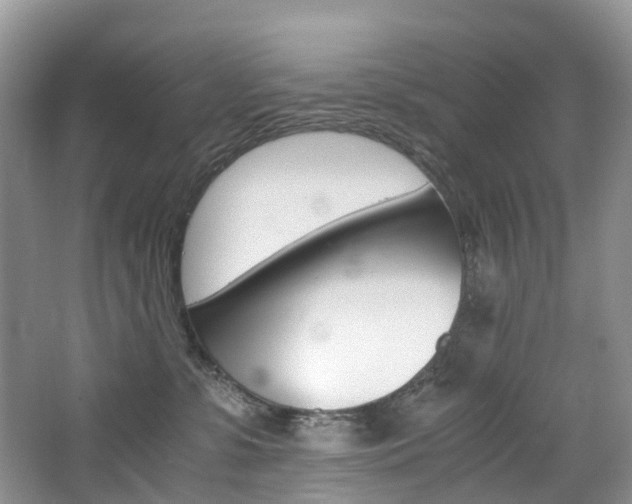 X0000065240331200602171001