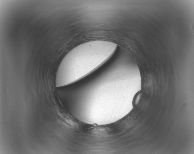 X0000065240332200602171001