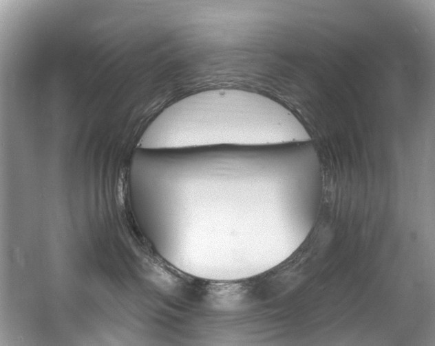 X0000065240334200602171001