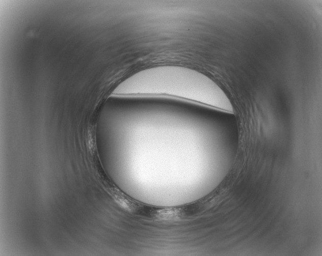 X0000065240335200602171001