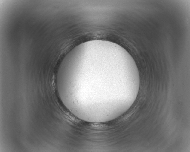 X0000065240336200602171001