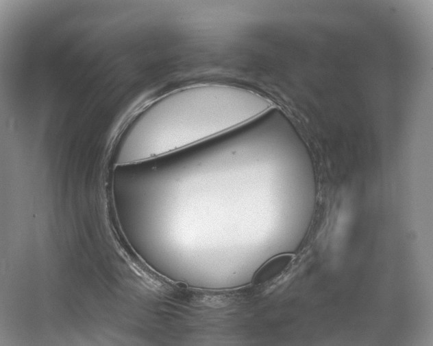 X0000065240341200602171000