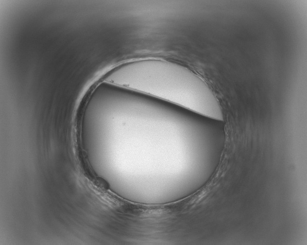 X0000065240342200602171000