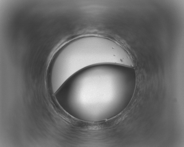 X0000065240344200602171000