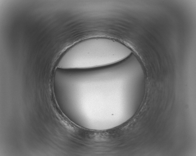 X0000065240345200602171000