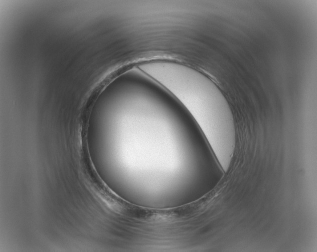 X0000065240350200602171000