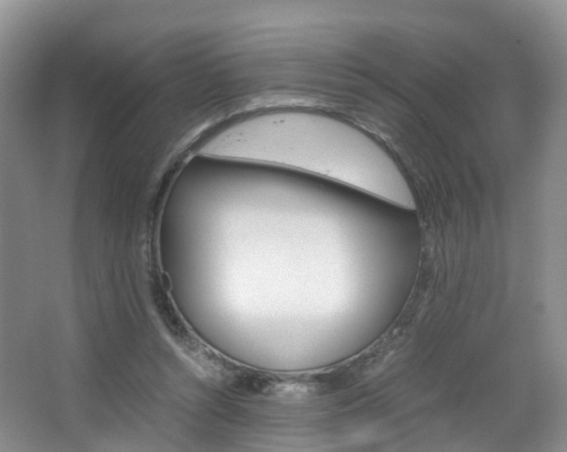 X0000065240352200602171000