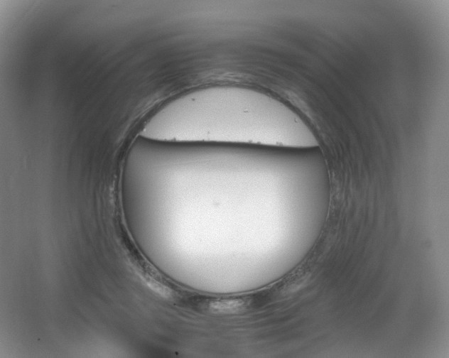 X0000065240357200602171000