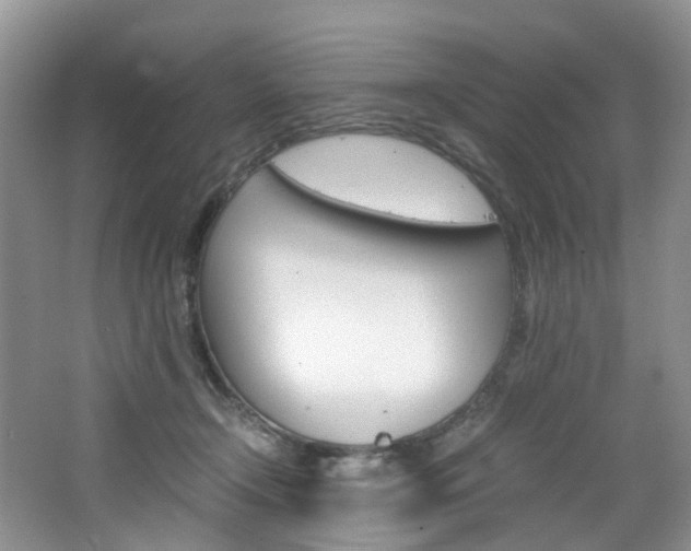 X0000065240366200602171001
