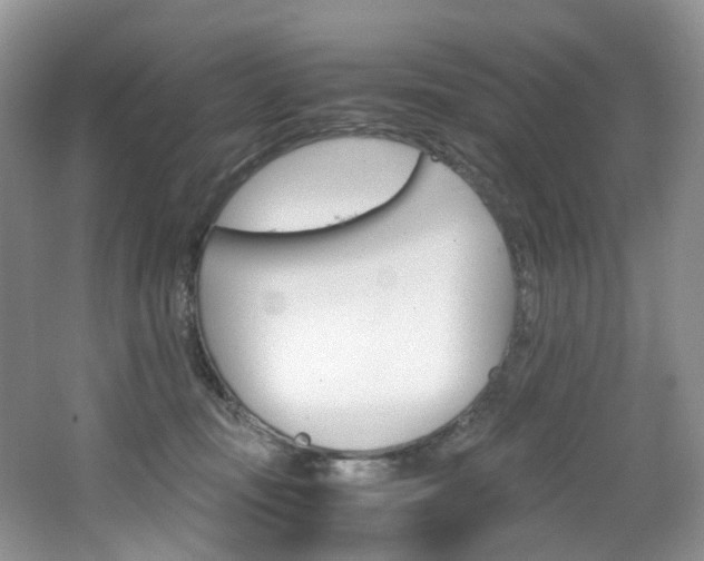 X0000065240371200602171001