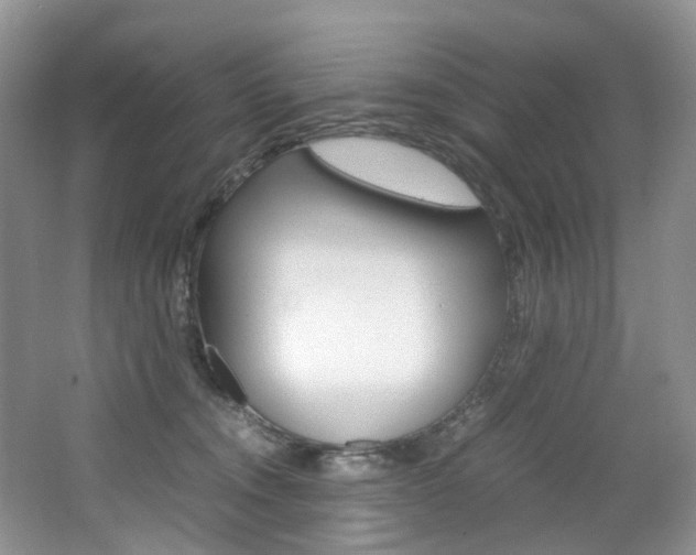 X0000065240372200602171001