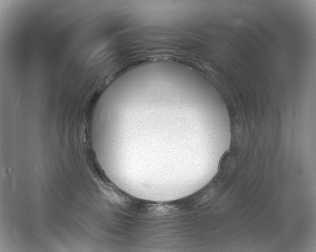 X0000065240379200602171001