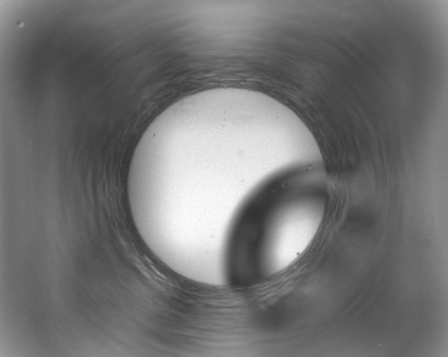 X0000065240380200602171001