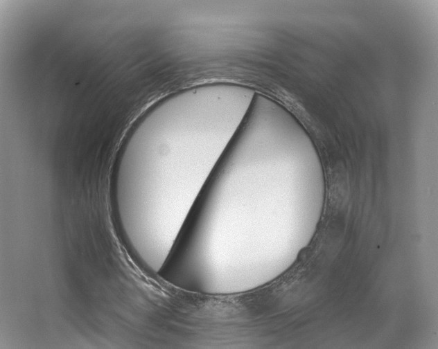 X0000065240386200602171000