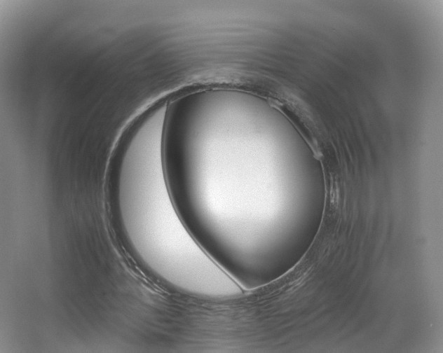 X0000065240388200602171000