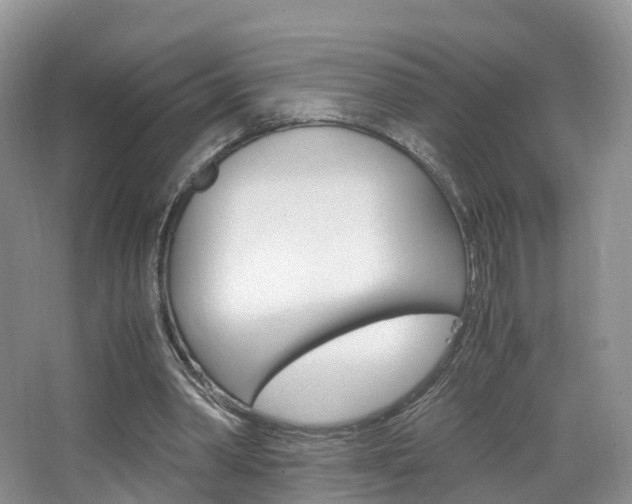 X0000065240390200602171000