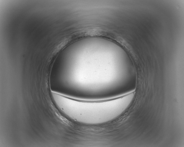 X0000065240393200602171000