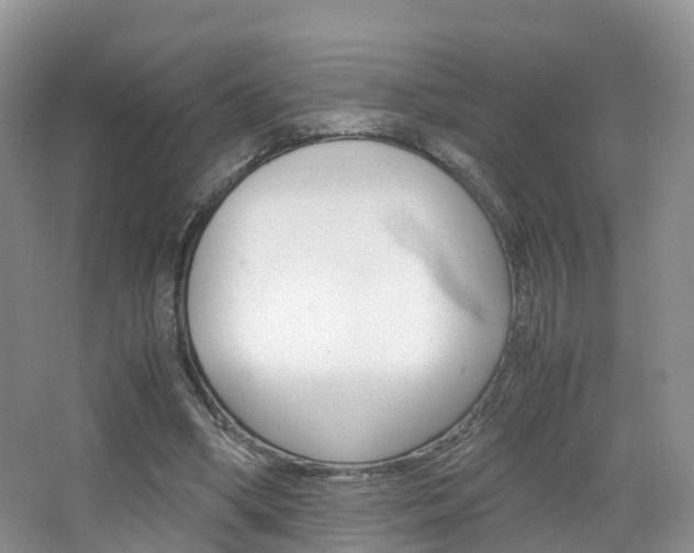 X0000065240394200602171000