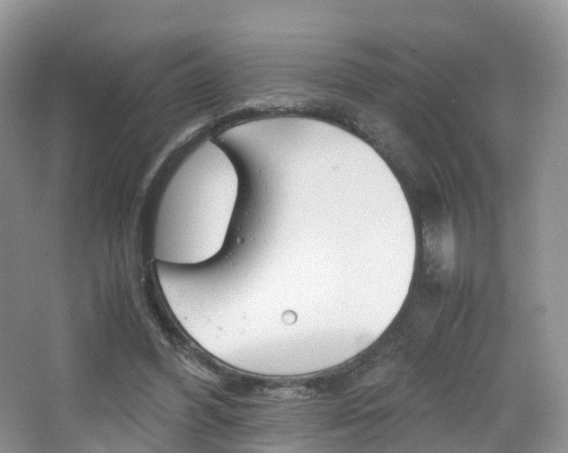 X0000065240396200602171000