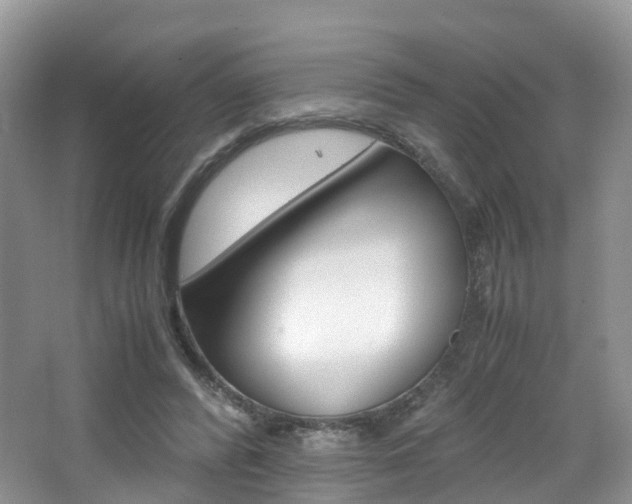 X0000065240400200602171000