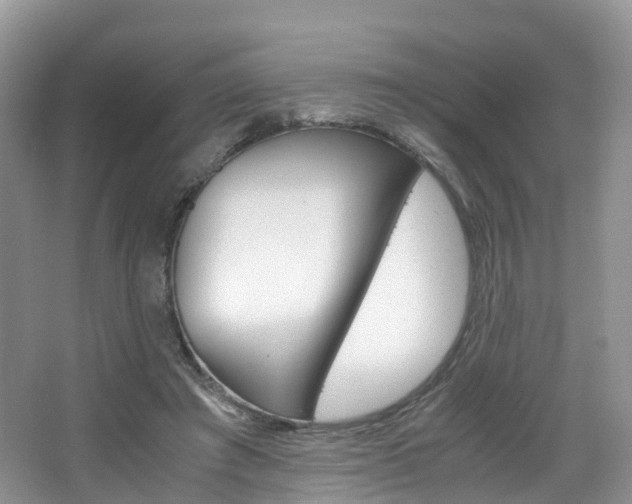 X0000065240401200602171000