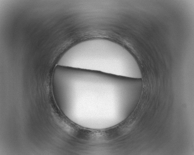 X0000065240402200602171000