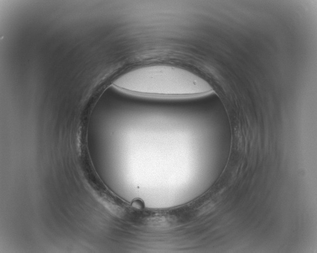 X0000065240404200602171000