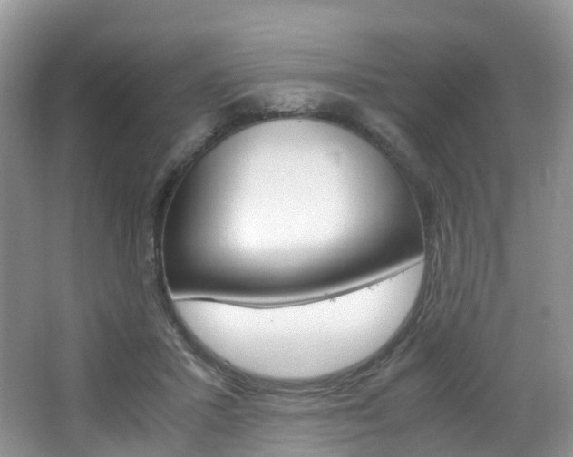 X0000065240407200602171000