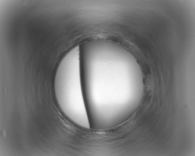 X0000065240409200602171000