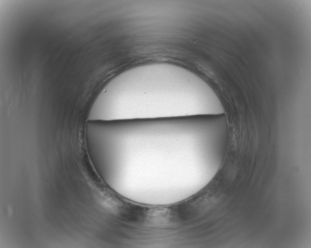 X0000065240410200602171000