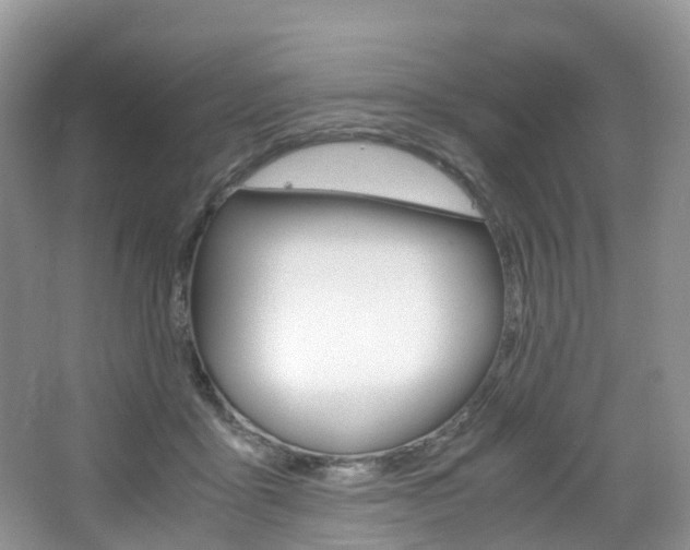 X0000065240411200602171000
