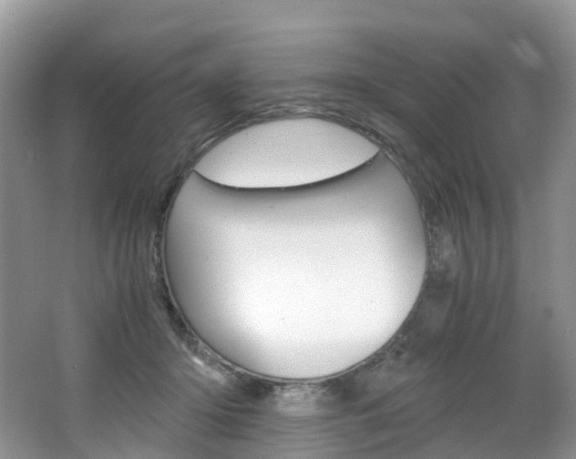 X0000065240414200602170959