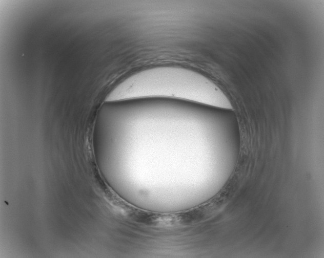X0000065240415200602170959