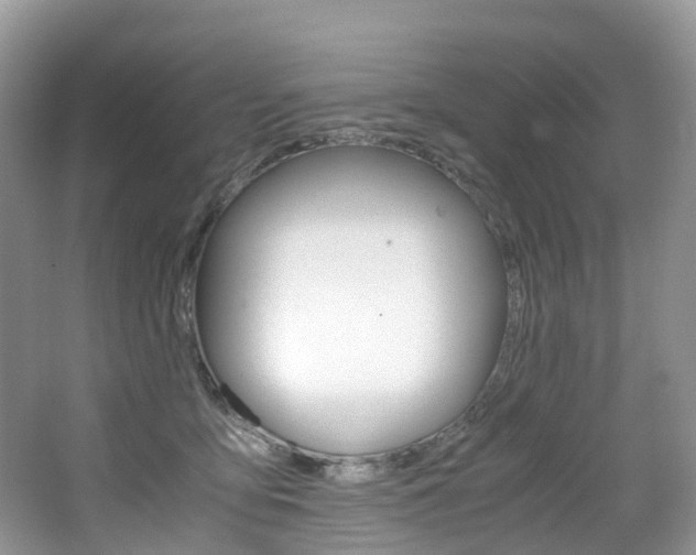 X0000065240419200602170959